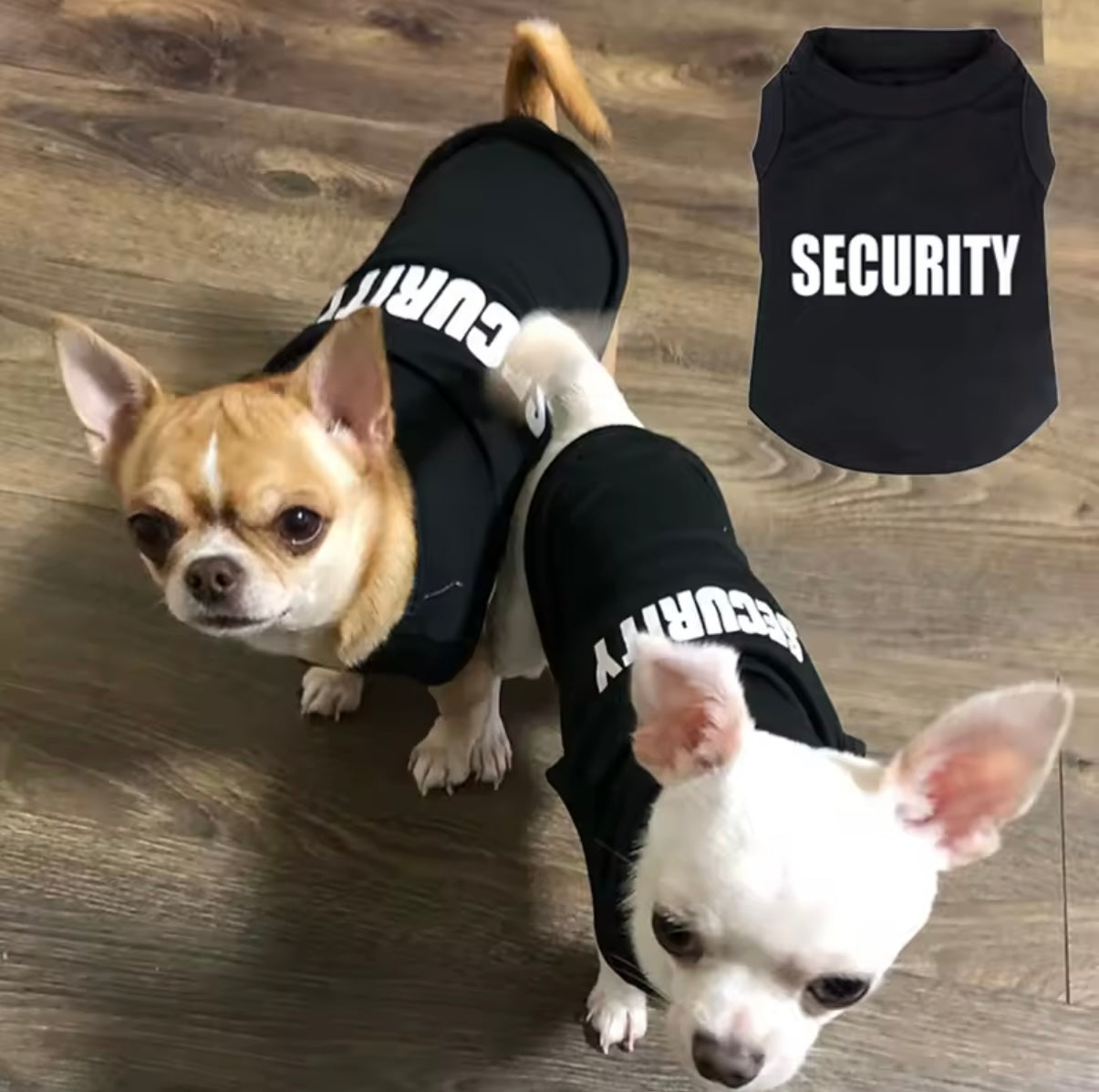 Security Hund