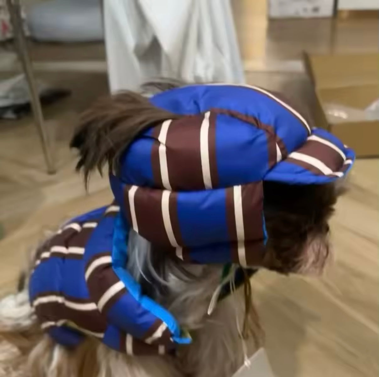 Warmer Baumwollmantel für kleine & mittlere Hunde 🐶