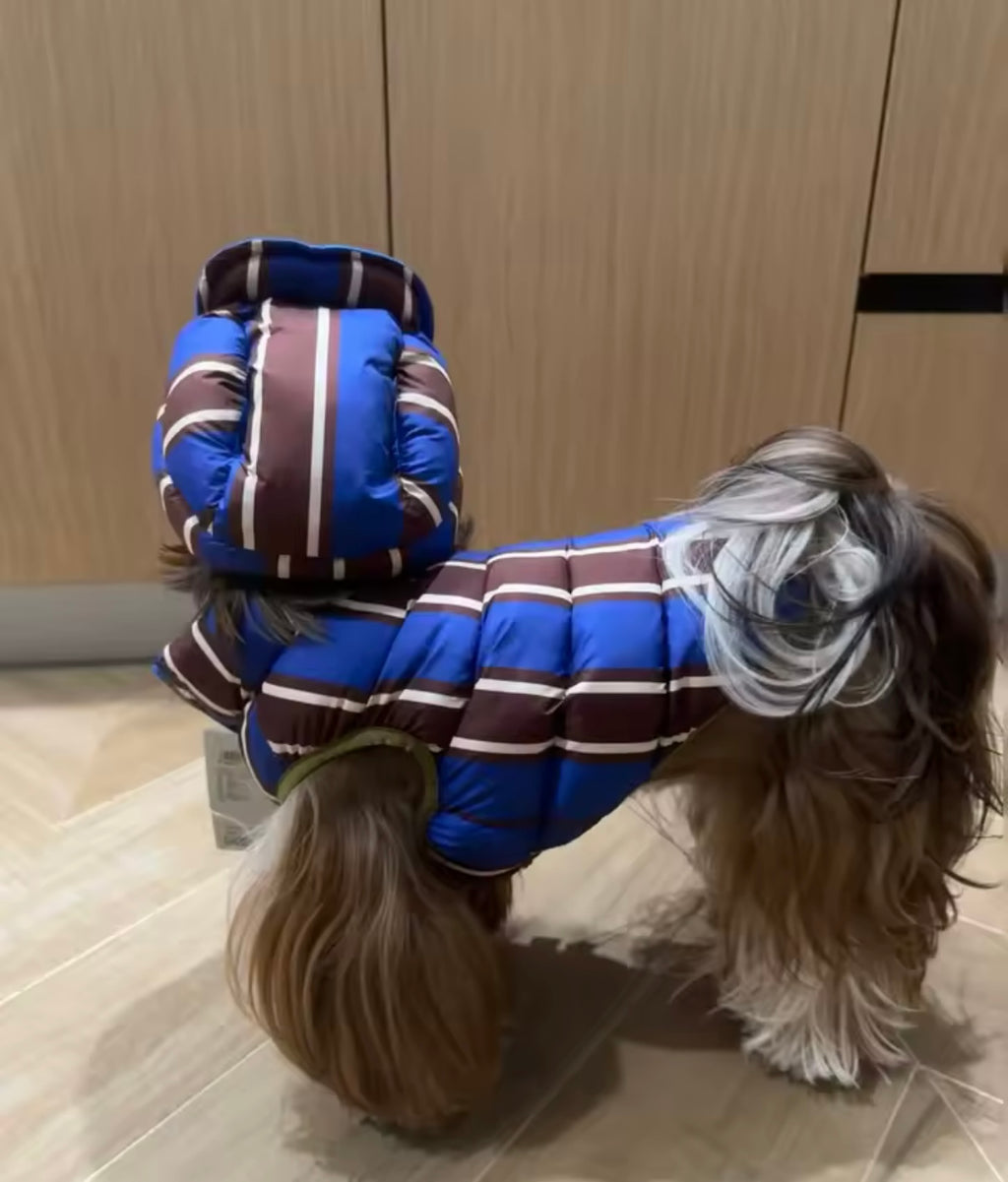 Warmer Baumwollmantel für kleine & mittlere Hunde 🐶