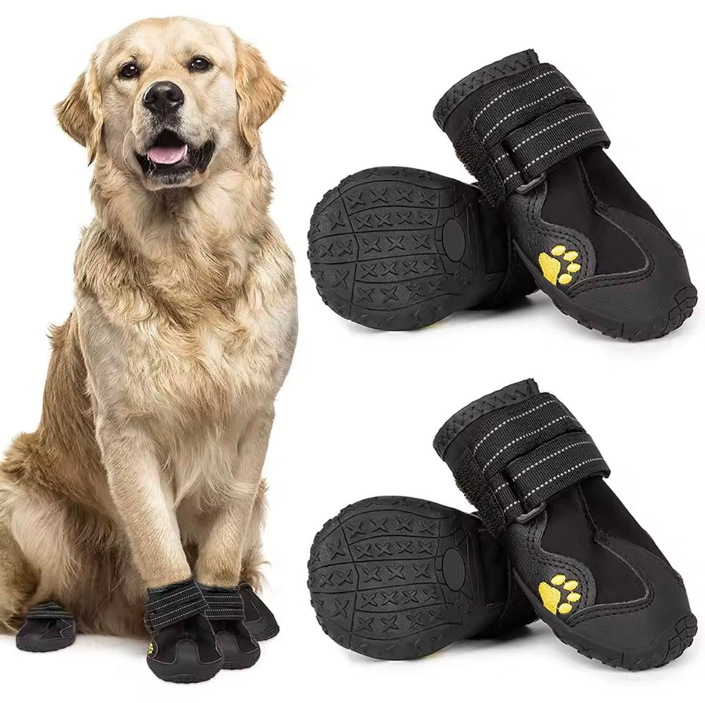 Hundeschuhe – 4er Set rutschfeste Pfotenschützer für Sommer & Winter 🐾