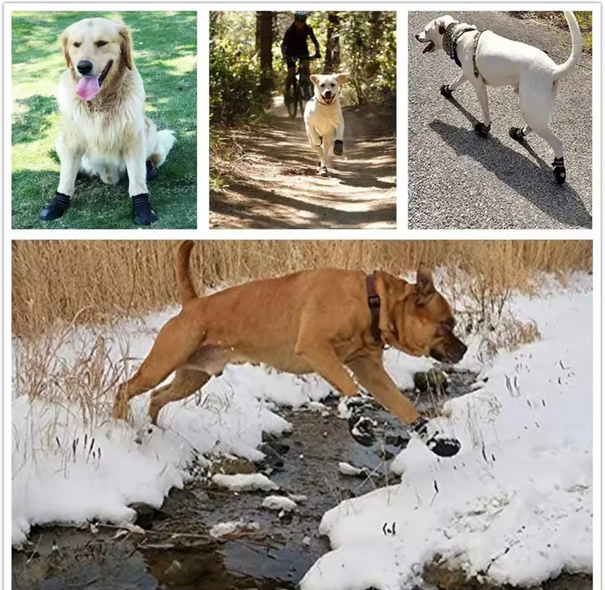 Hundeschuhe – 4er Set rutschfeste Pfotenschützer für Sommer & Winter 🐾