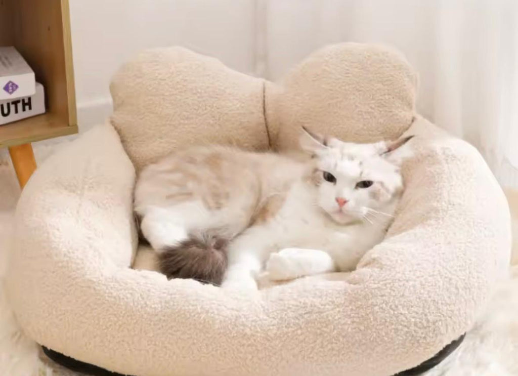 Ein gemütliches Katzen-Sofa